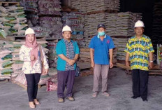 Harga Beras di Belitung Melonjak, Ini Pemicu Kenaikan