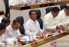 Target Produksi Beras 2026 Naik Jadi 33,8 Juta Ton, Mentan Fokus Swasembada Pangan