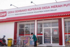 Kemenkeu Siapkan Rp240 Triliun untuk Kopdes Merah Putih Lewat Pinjaman Himbara