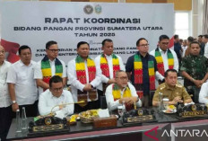 Menko Zulkifli Hasan Tekankan Keterlibatan Pemerintah Daerah Capai Swasembada Pangan