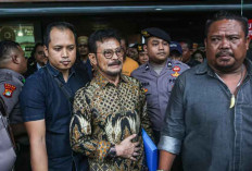 Majelis Hakim Tipikor Ungkap Keluarga SYL Ikut Menikmati Hasil Korupsi