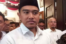 Isu Ijazah Palsu Jokowi, Kaesang: Biasa Saja