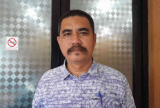 Harga Daging Ayam Fluktuatif, Yahya Sebut Hal Ini