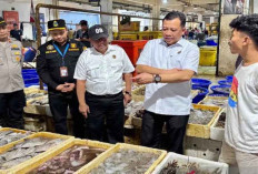 Pasokan Ikan Aman, KKP Pastikan Harga Stabil Jelang Natal dan Tahun Baru