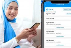 Pinjaman Online DANA Resmi OJK 2025, Ini Cara Naikkan Limit hingga Rp15 Juta Tanpa Jaminan
