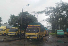 Ratusan Ton Timah Ilegal Kembali Dikirim ke Bangka, ASDP Tanjung RU Bungkam