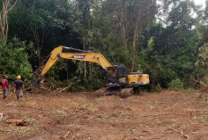 Karya Bakti TNI AD 2025, Kodim Belitung Bangun Jalan untuk Masyarakat