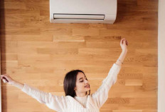 Terobosan Ilmuwan, Garam Bisa Jadi AC Tanpa Freon dan Ramah Lingkungan