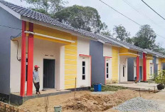 Menteri PKP Bakal Beri 10 Rumah Subsidi Gratis untuk Guru, UMKM, dan Jurnalis 