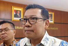 Bantuan Pangan Beras Terancam Berhenti 2026, Ini Penjelasan Bapanas