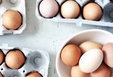 Tips Sederhana Cek Telur yang Bagus Sebelum Dimasak