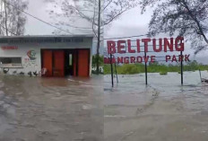 Banjir Rob Rendam Puluhan Rumah Desa Juru Seberang, Termasuk Kawasan HKM, Ketinggian Air 80 Cm