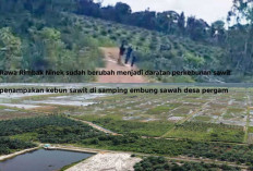 Terungkap! 10 Pengusaha Diduga Beli Lahan di Kawasan Resapan Air Bangka Selatan