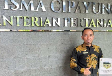 3 Jenis Padi Lokal Bangka Diakui Unggul Kementan, Angin Segar bagi Petani Gogo