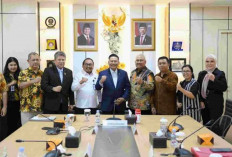 Pemerintah Pertimbangkan Mengkaji Ulang Aturan Ekspor Kratom, Potensi Ekonomi Rp2 Triliun Lebih