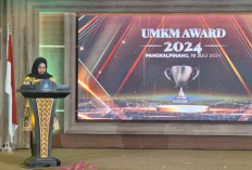 UMKM Award 2024, 67 Pelaku Usaha Inspiratif Babel Dapat Penghargaan