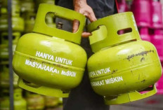 Subsidi Gas Melon, Untung atau Buntung?