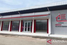Koperasi, dari KUD jadi KDKMP