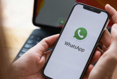 WhatsApp Hadirkan Fitur Kategori Saluran: Lebih Mudah Cari Konten Favorit!