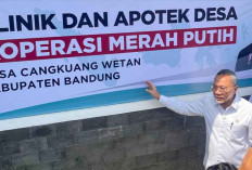 Pemerintah Perluas Akses Layanan Kesehatan Masyarakat Lewat Apotek dan Klinik Desa