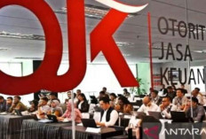 OJK dan AFPI Bersinergi untuk Keamanan Data di Fintech Lending