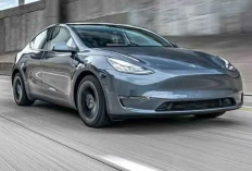 Penjualan Tesla di Korea Hanya Terjual 1 Unit dalam Sebulan, Ini Penyebabnya