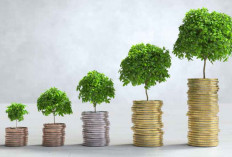 Panduan Investasi Terbaik 2025, 15 Pilihan Aman untuk Pemula Hindari FOMO