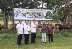 KLK Group Serahkan 48 Ekor Sapi Kurban di Pulau Belitung, Bupati Apresiasi Kepedulian Perusahaan