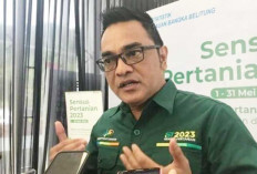 BPS: Angka Kemiskinan di Bangka Belitung 2024 Terendah ke-4 Nasional