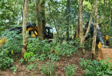 Tim Satgas PKH Korwil Babel Sita Lagi 7 Excavator, Total Jadi 39 Unit