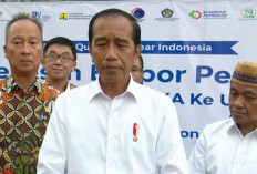 Jokowi Tidak Tau Siapa Sosok T Dibalik Praktik Judi Online di Indonesia