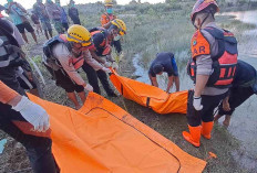 Lagi Penambang Tewas Diterkam Buaya, Predator Buas Ancaman Nyata di Babel