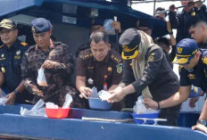 Bea Cukai Batam Berhasil Gagalkan Penyelundupan Ribuan Benih Lobster di Kepulauan Riau