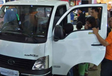 Kadin Nilai Impor 105 Ribu Pikap India Tekan Industri Otomotif Nasional