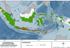 BMKG Tetapkan Status Siaga untuk Babel, Waspadai Hujan Lebat dan Petir