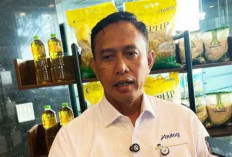 Bulog Pastikan Stok Beras Pemerintah 3,9 Juta Ton Aman dan Berkualitas