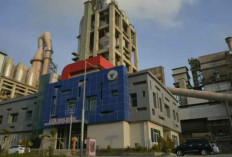 Pentingnya Peta Jalan Pajak Karbon yang Berkelanjutan