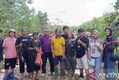 Tradisi Lomba Nirok di Desa Renggiang: Budaya Tradisional yang Terus Hidup di Belitung Timur