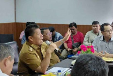 Investasi Perkebunan Kelapa di Belitung Siap Serap Puluhan Ribu Tenaga Kerja