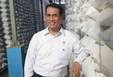 Stok Beras Nasional Tembus 5,3 Juta Ton, Amran: Tidak Ada Kelangkaan