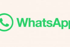 Permudah Komunikasi Beda Bahasa, WhatsApp Kembangkan Fitur Penerjemah Otomatis