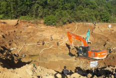 4 Pekerja Tambang Tewas Tertimbun Longsor di Bangka Barat