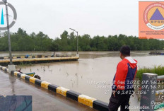 BPBD Pangkalpinang Waspadai Pasang Air Laut, Potensi Banjir Rob Mengintai