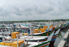 Nelayan Belitung Libur Melaut Saat Idul Fitri 2026, 400 Kapal Padati PPN Tanjungpandan