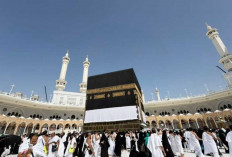 Menenun Pengabdian di Tanah Suci Makkah, Kisah Sunyi 1.600 Petugas Haji Indonesia 