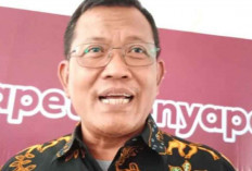 Kementerian Pertanian Siapkan 1,5 Juta Hektare Lahan Peternakan Sapi Perah untuk Program Susu Gratis