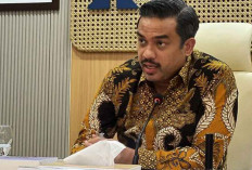 Penyaluran KUR 2025 Tembus Rp218 Triliun hingga 20 Oktober, Mayoritas Disalurkan ke Sektor Produktif