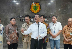 Stok Beras Aman, Mentan Amran: Cadangan Pangan Nasional Cukup untuk 324 Hari
