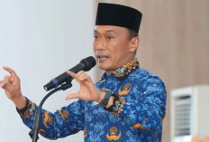 66 Ribu Honorer Gagal Jadi PPPK, BKN Ungkap Alasan dan Daerah Terbanyak