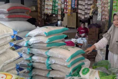 YLKI Desak Pemerintah Transparan Ungkap Mafia Beras Oplosan